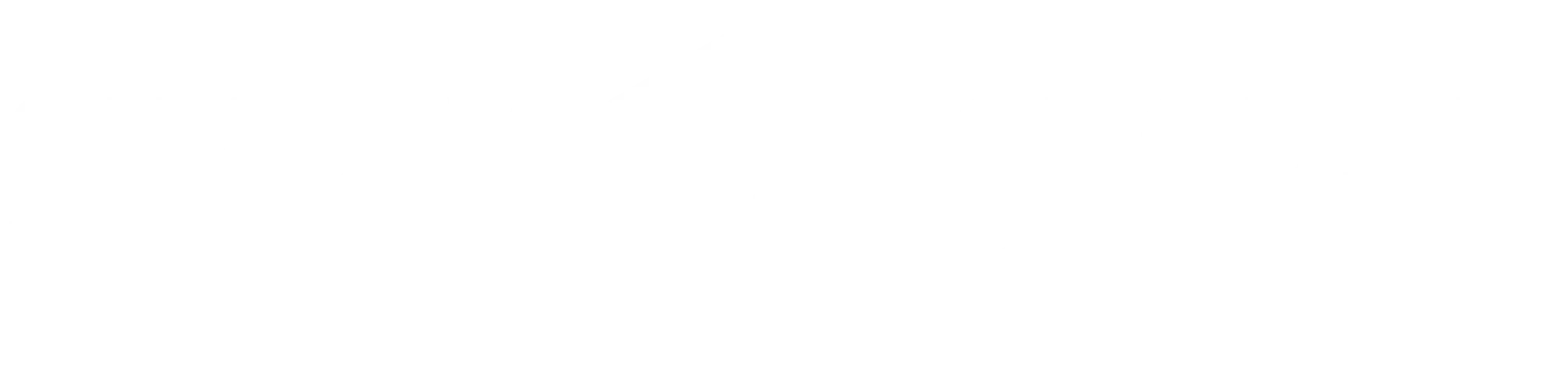 Simple Stor-It Logo